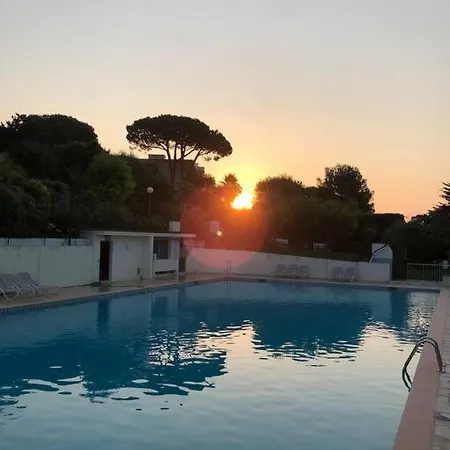Studio Neuf Dans Avec Piscine Apartman