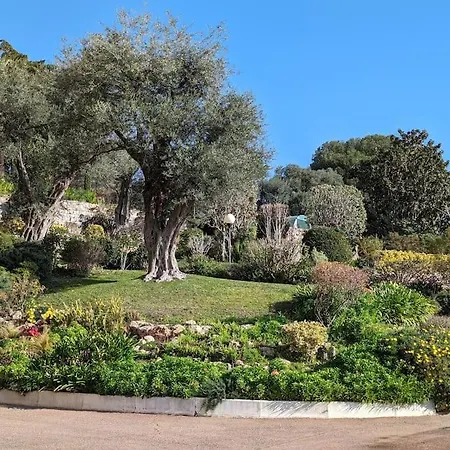 Apartman Studio Neuf Dans Avec Piscine Antibes